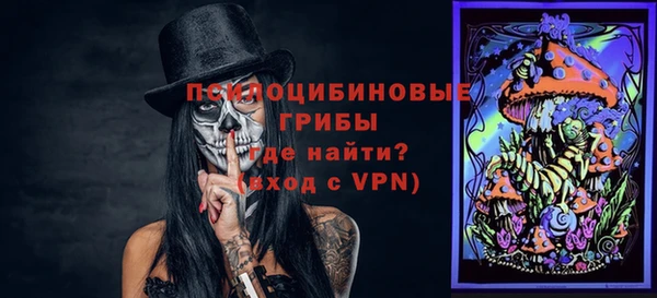 кристаллы Гусев