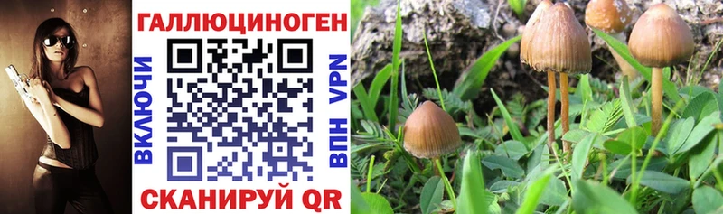 Галлюциногенные грибы Cubensis  где купить наркоту  Южно-Сахалинск 